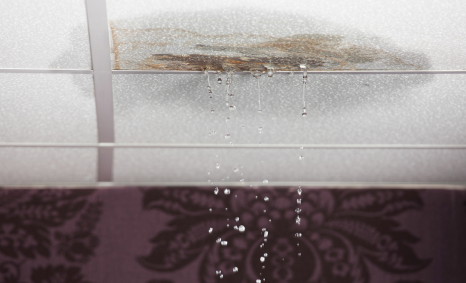 Plumber Airport West